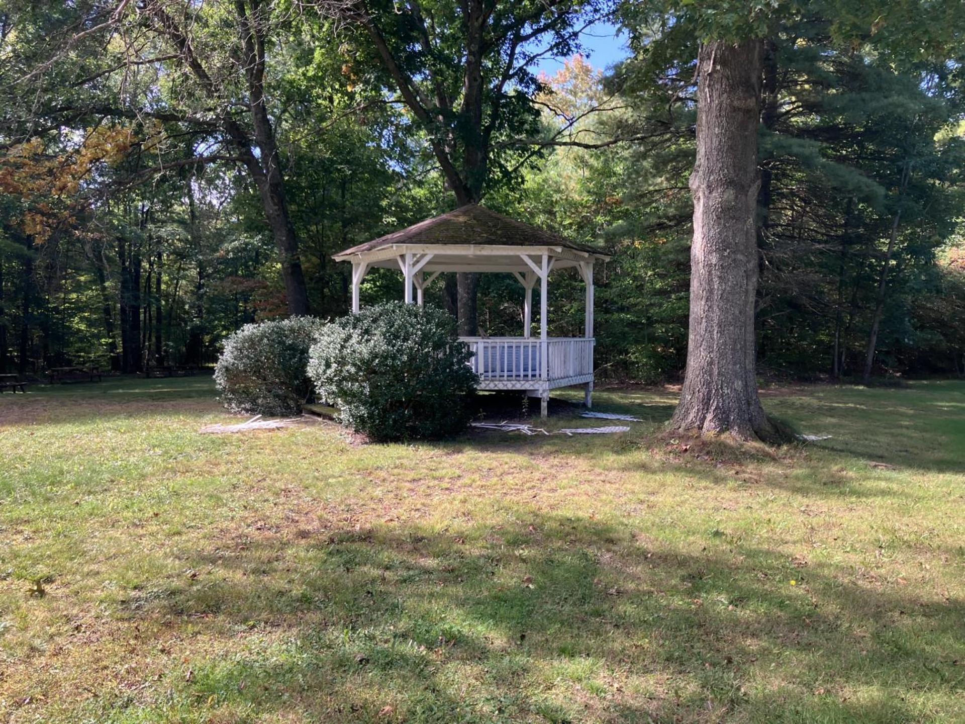 Sweet Forest Breeze, A Cook Forest * Marienville