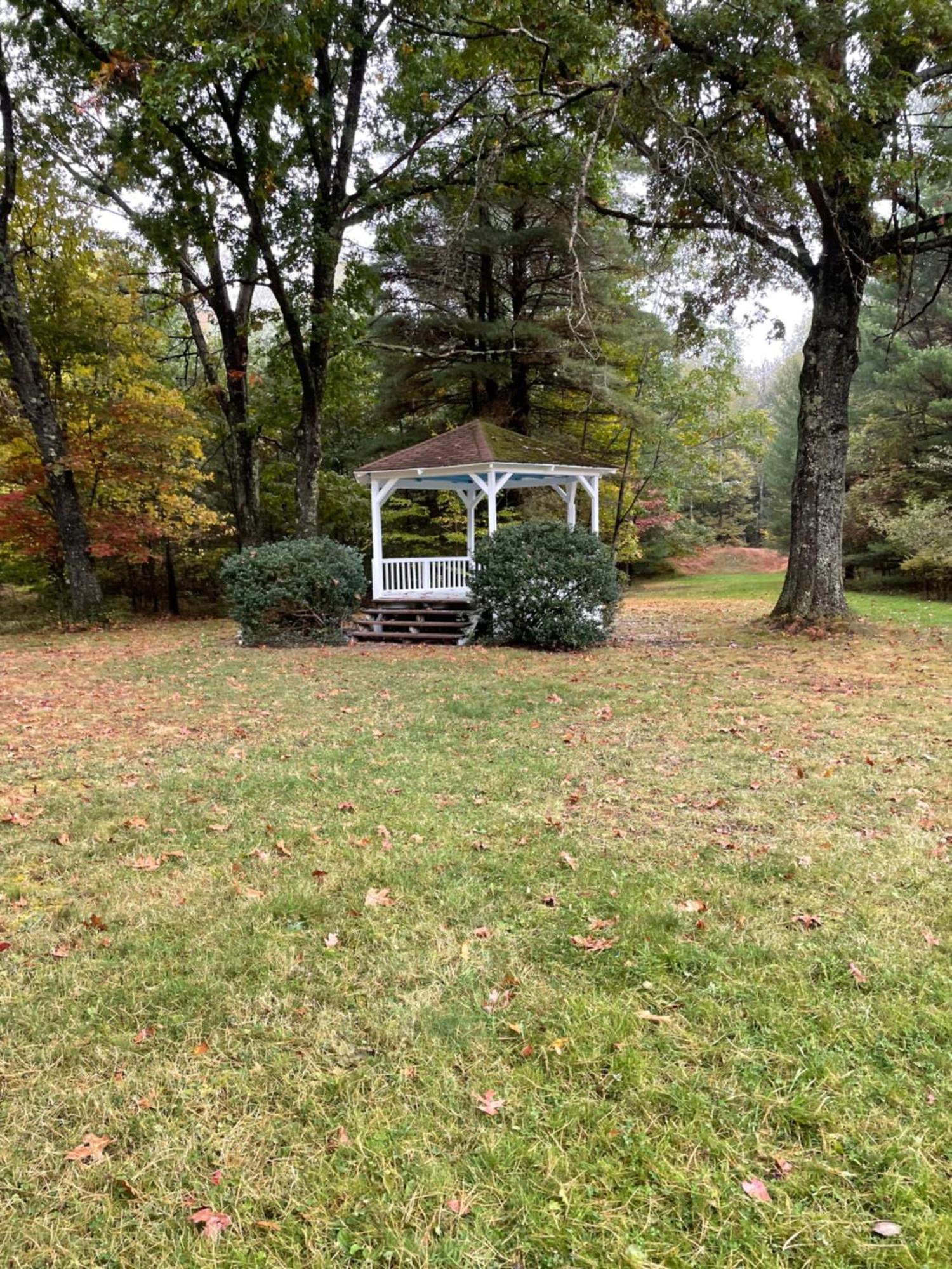 Sweet Forest Breeze, A Cook Forest Marienville